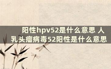 阳性hpv52是什么意思 人乳头瘤病毒52阳性是什么意思